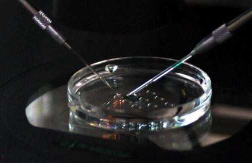 广西不孕不育医院推荐_正规助孕机构有哪些