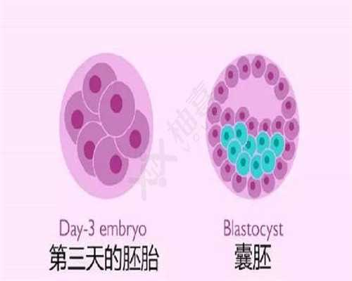 南宁靠谱的试管助孕医院推荐