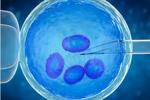 佛山市妇幼保健院试管婴儿成功率及备孕指南