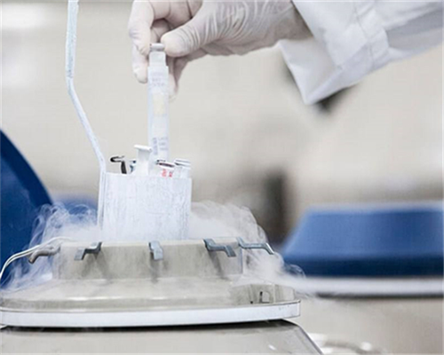 广西壮族自治区人民医院试管助孕成功率与费用解析