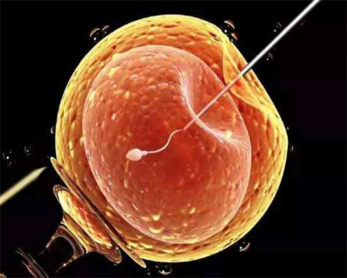 南宁试管婴儿医院选择指南